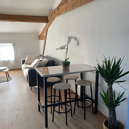 Cosy Proche Gare Et Centre *